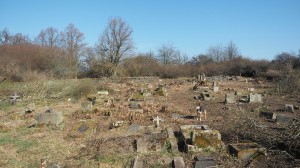 12-Revitalizace zdevastovaného hřbitova ve Svatoboru             